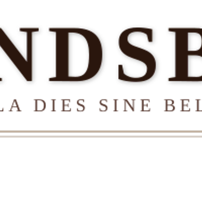 avatar for raulmagdalena@mastodont.cat