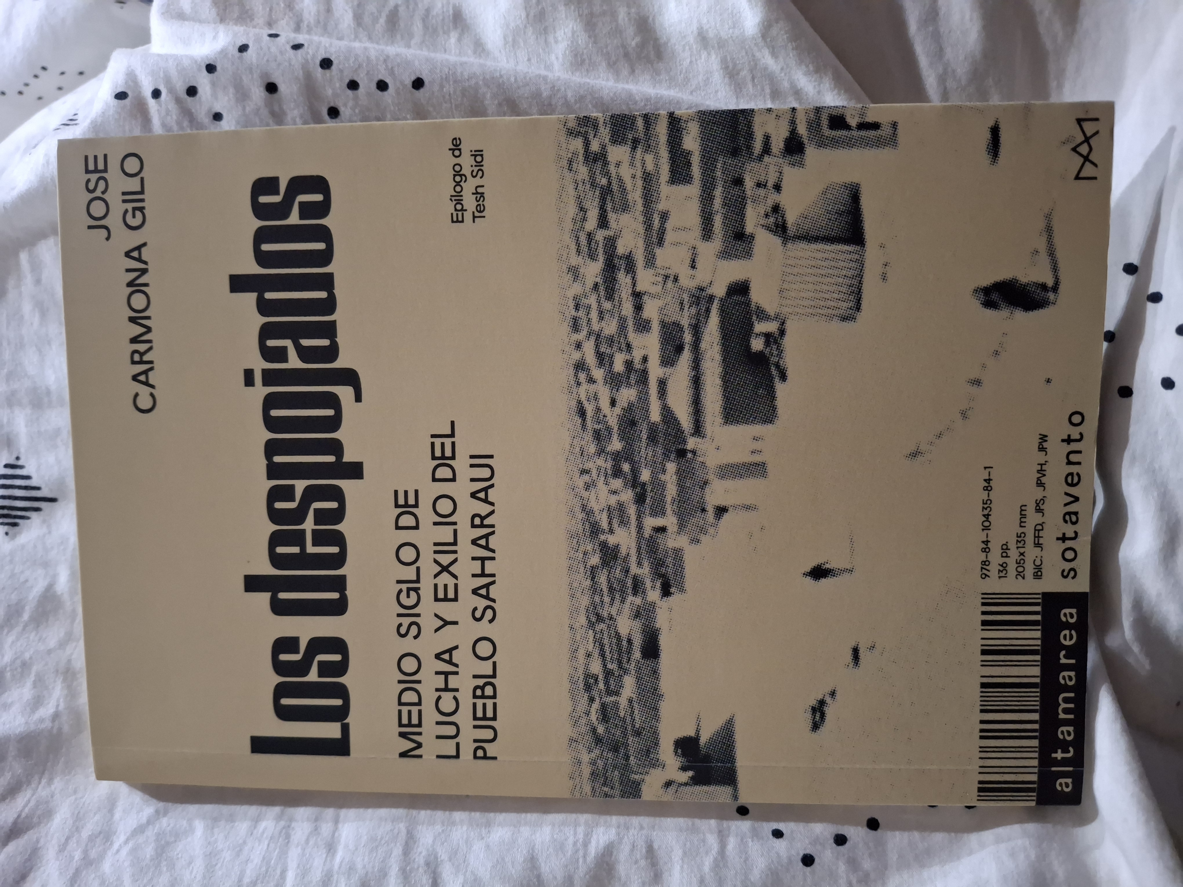 Jose Carmona Gilo: Los despojados (Paperback, Español language, Altamarea)