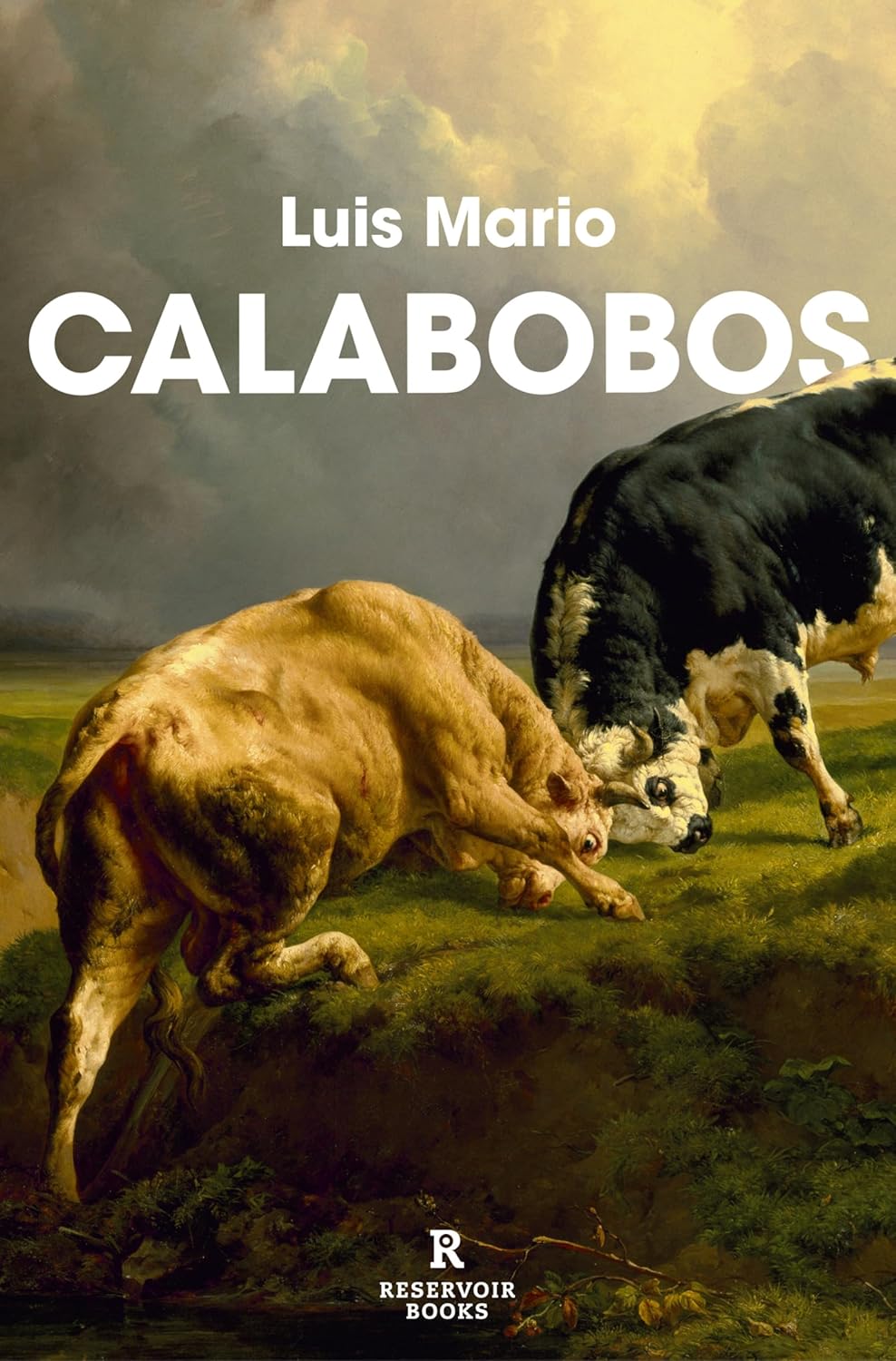 Luis Mario: Calabobos (Paperback, Español language, 2025, RESERVOIR BOOKS)