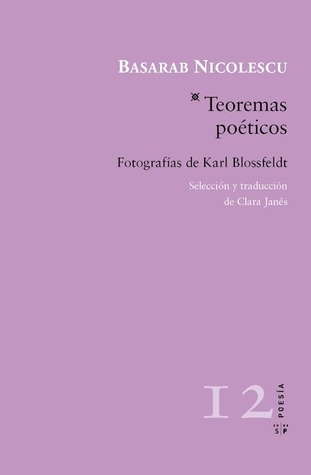 Basarab Nicolescu: Teoremas Poéticos (Paperback, Castellano language, 2013, Salto de página)