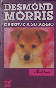 Desmond Morris: Observe a su perro (Paperback, Spanish language, 1988, Tribuna de Plaza & Janes)