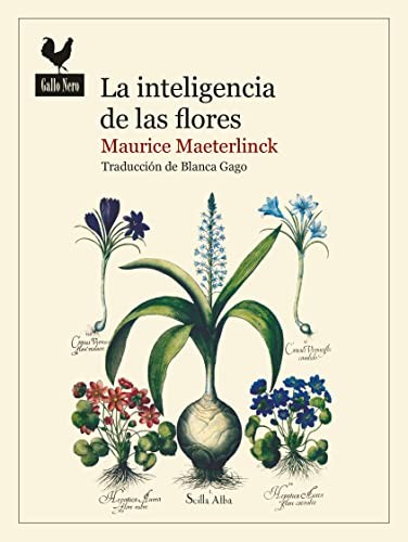 Blanca Gago Domínguez, Maurice Maeterlinck: La inteligencia de las flores (Paperback, GALLO NERO, Gallo Nero Ediciones)