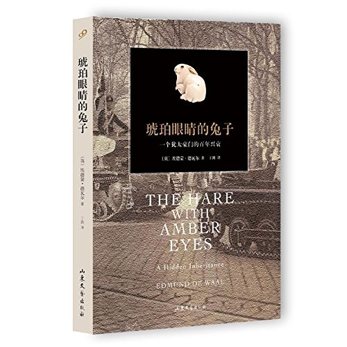 Edmund De Waal: The Hare with Amber Eyes (Paperback, Shandong Publishing House of literature and Art)