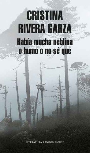 Cristina Rivera Garza: Había mucha neblina o humo o no sé qué (2017, Penguin Random House)