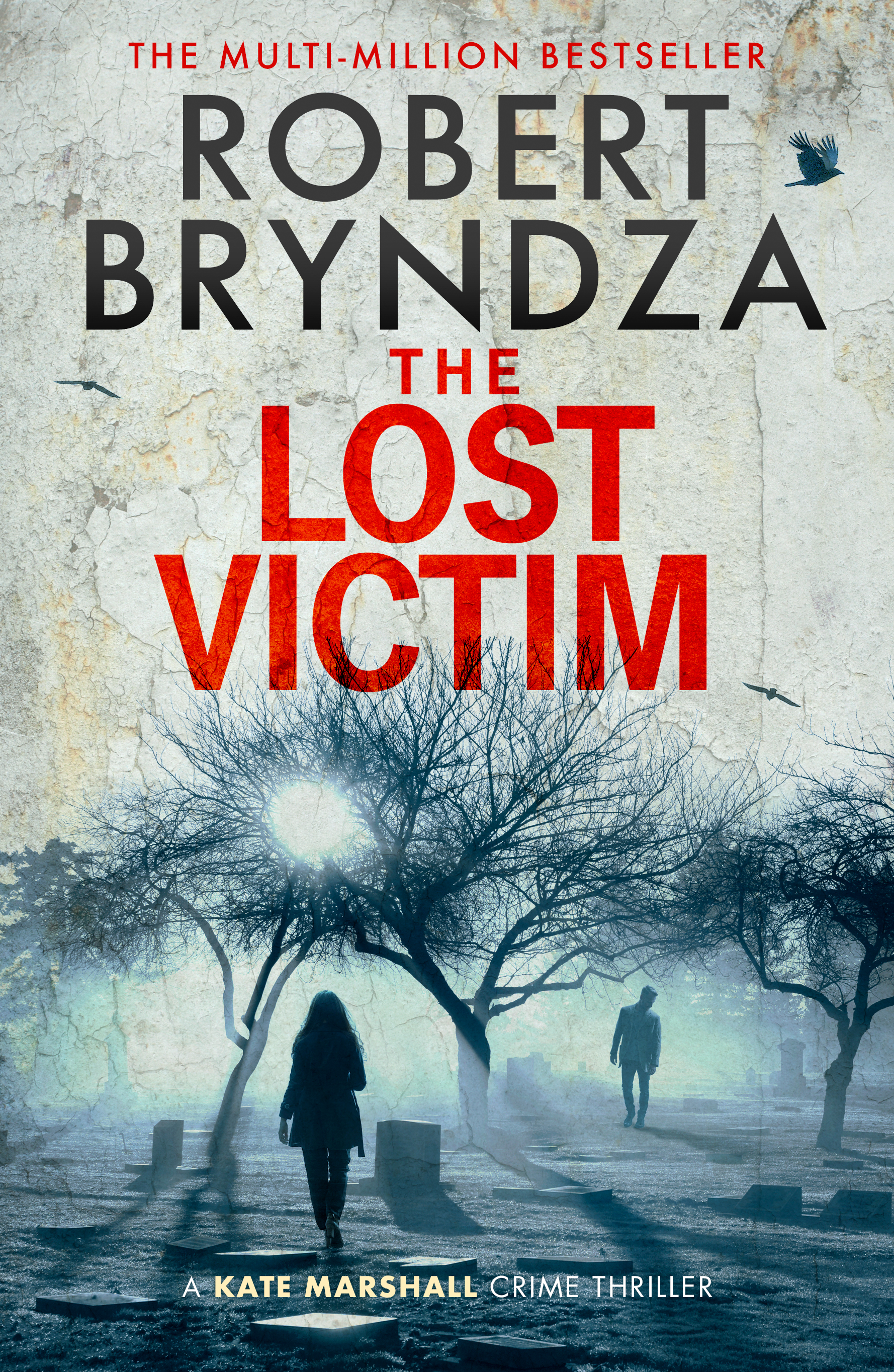 Robert Bryndza: The lost victim (EBook, Raven Street Publishing)