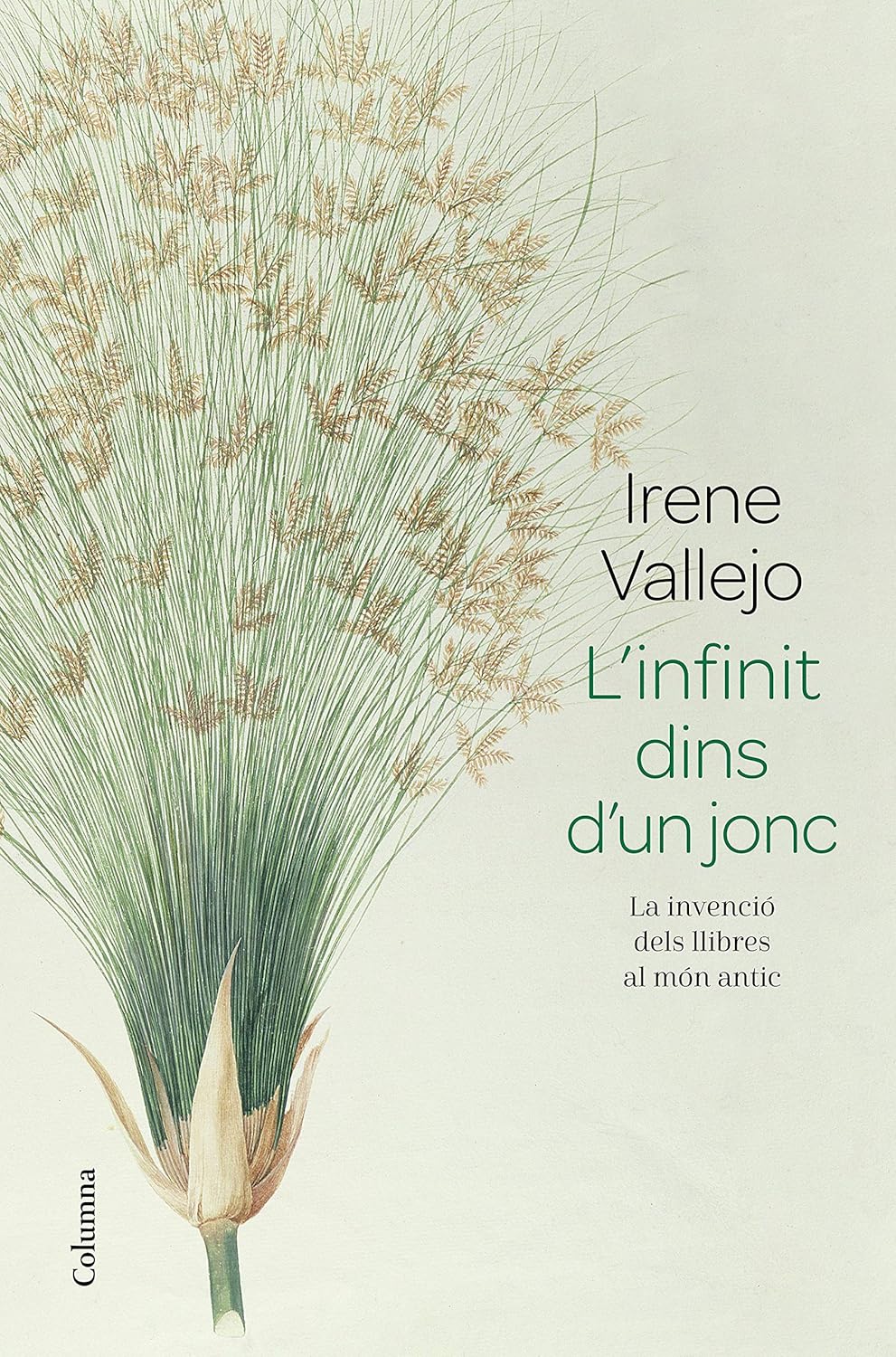 Irene Vallejo, Núria Parés Sellarés: L'infinit dins d'un jonc (Paperback, Columna Edicions)