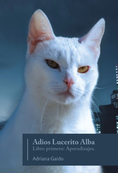Adriana Gaido: Adiós Lucerito Alba. (Paperback, 2019, Ediciones Z)