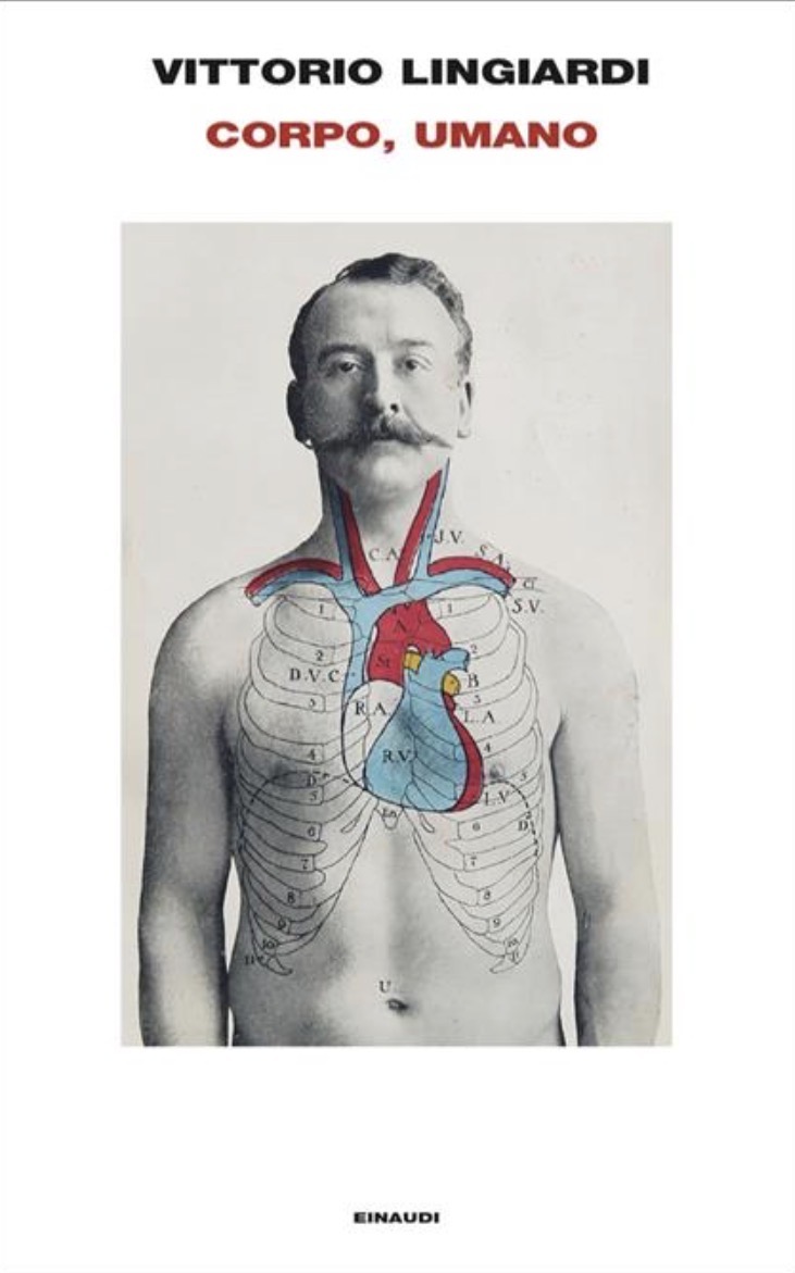 Corpo, umano (Italiano language)