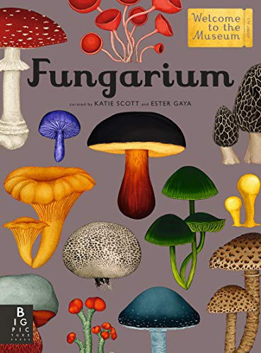 Katie Scott, Ester Gaya: Fungarium (Hardcover, Big Picture Press)