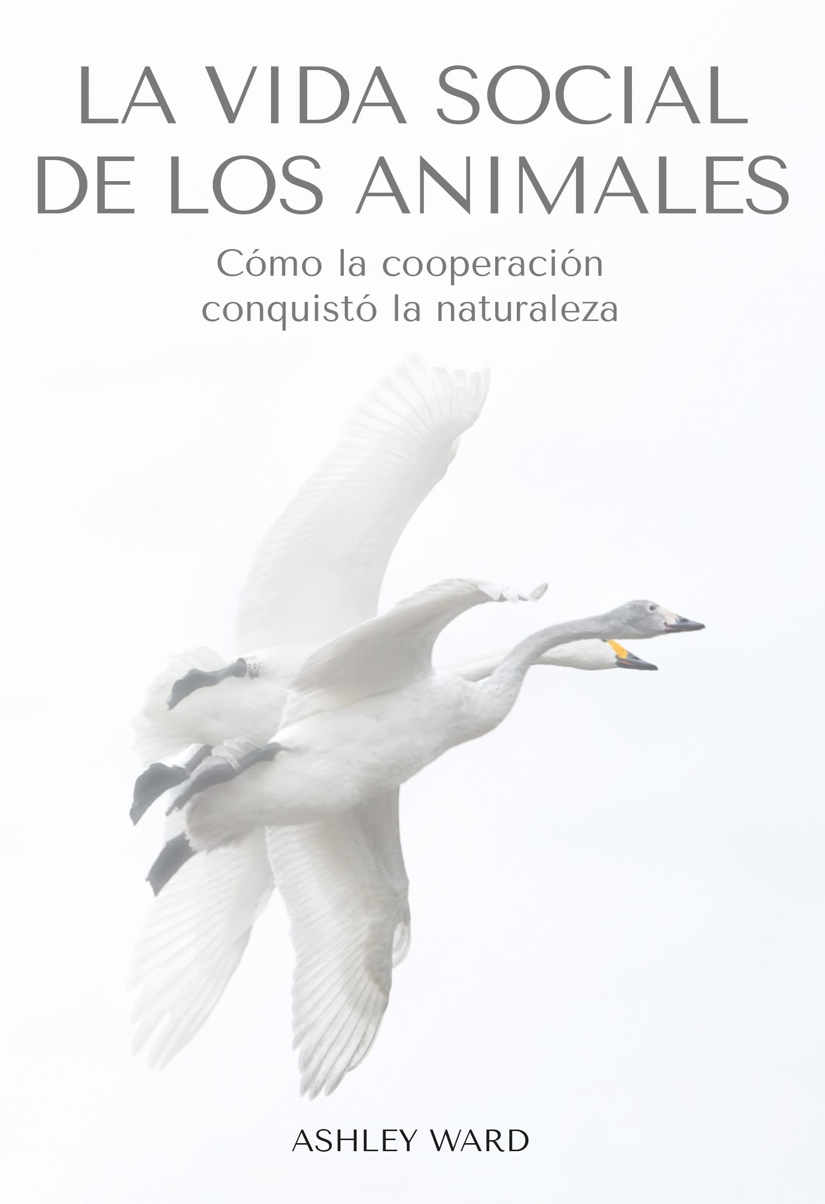 Ashley Ward: La vida social de los animales (Paperback, Castellano language, 2023, Carbrame)