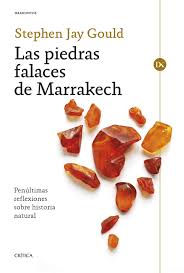 Stephen Gould: Las Piedras Falaces de Marrakech (Spanish language, 2024, Editorial Planeta Mexicana)