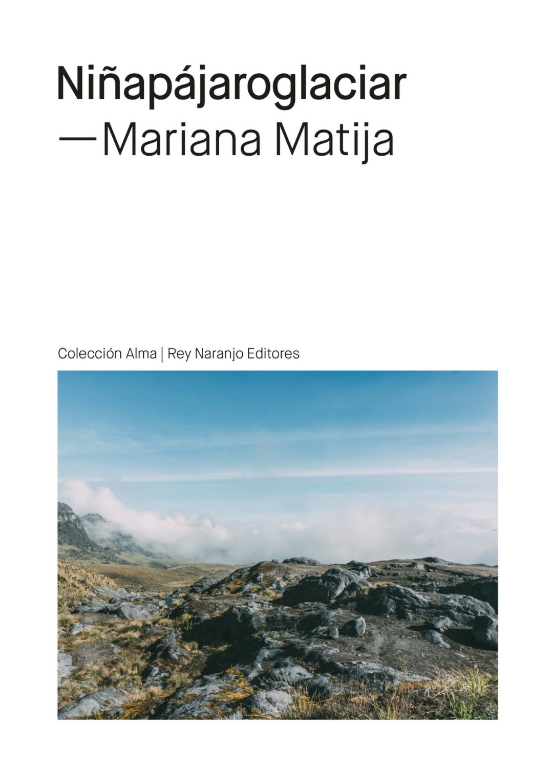Mariana Matija: Niñapájaroglaciar (EBook, Español language, Rey Naranjo Editores)