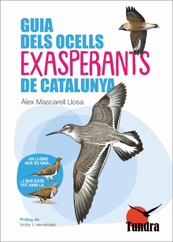 Alex Mascarell: Guia dels ocells exasperants de Catalunya (català language, Tundra)