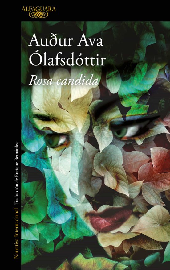 Audur Ava Ólafsdóttir, trad. Enrique Bernárdez Sanchís: Rosa candida (Paperback, castellà language, 2011, Alfaguara)